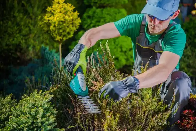 landscaping services Middleville